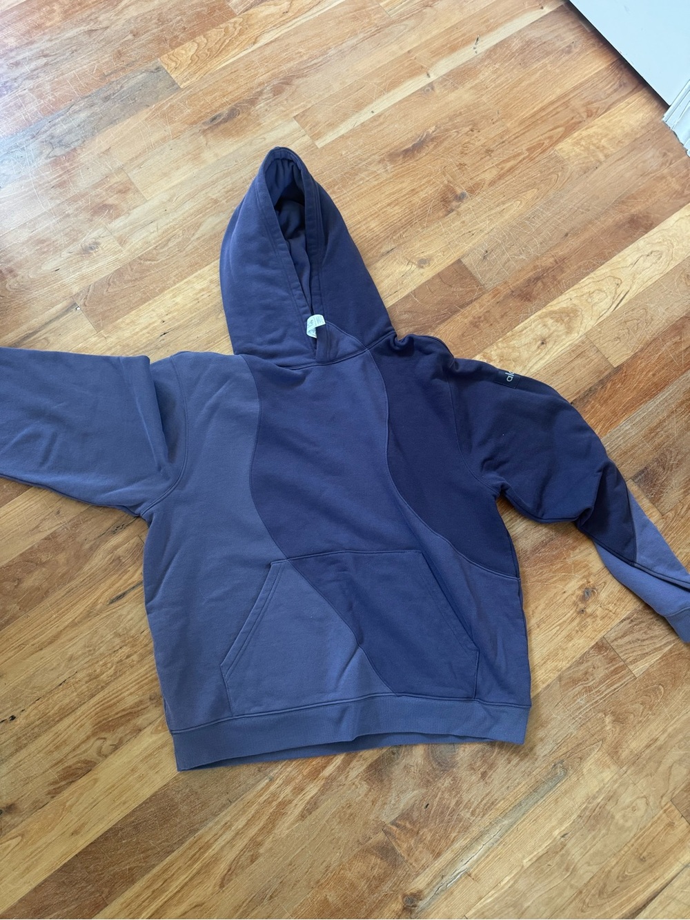 ALO Purple and Slate Hoodie